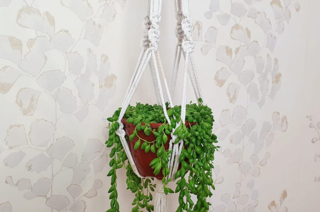 Macetero de Macramé