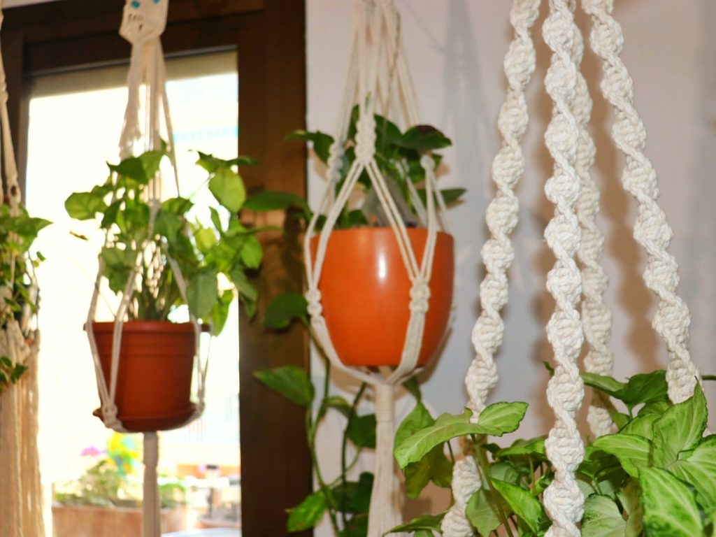 Maceteros de macrame con plantas