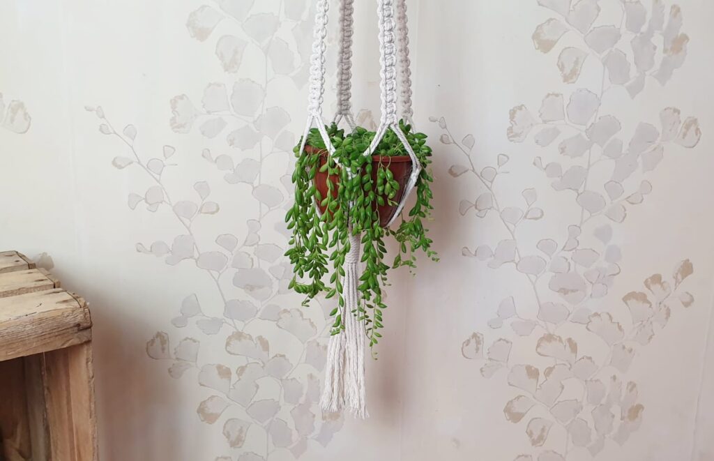 Macetero de macramé